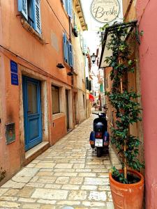 Studio Forasquara - 3hvězdičkové hotely ve městě Rovinj