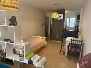 Departamento zona universitaria