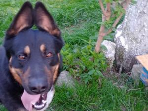 Agroturystyka Janiczek Tuchów