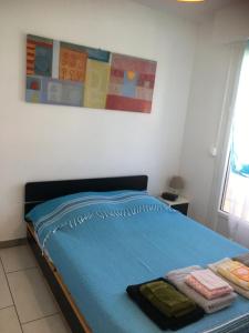 Appartements Appartement 2 etoiles entre les Maures et Mediterranee : photos des chambres