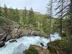 Appartements La Kaz montagne : photos des chambres