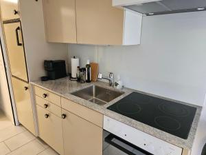 Premium Apartment mit Pilatus Sicht