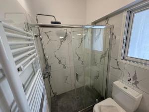 Alexander apartments