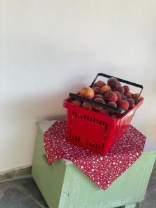 Petershaus - casa de vacanța și distractie.