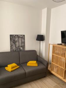 Appartements Studio hyper centre proche RER : photos des chambres