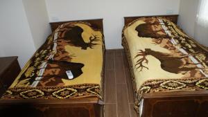 Guest white house with Terrace