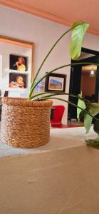 The Green Door Cottage