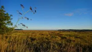 Maison en résidence - 特赫格欧