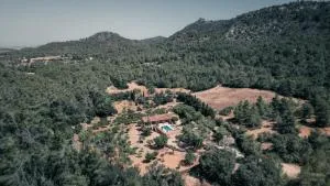 Villa Bell Lloc by Alquilair - Felanitx