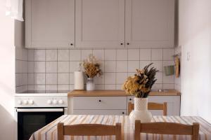 Apartmaji Žnidarčič