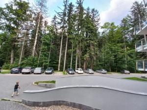 Komfortowy Apartament Orange w Szklarska Poręba