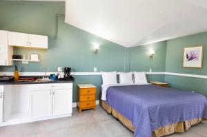 Warm Mineral Springs Motel