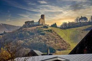 Weinquartier11 - Andel