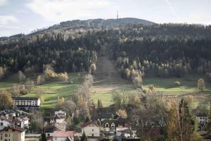 Ski & Bike Apartment