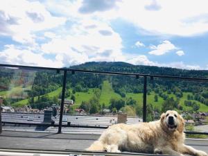 Ski & Bike Apartment