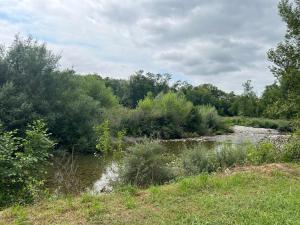 Campings Mobil-home Vintage au bord de la riviere : photos des chambres