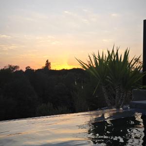 Villas La Villa Pangea un havre de paix unique avec vue sur la riviere et la nature : photos des chambres