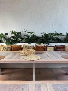 Casa Jardín de San Miguel