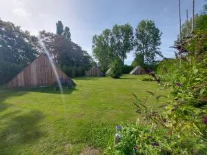 Back to Basic - Vogelenzang