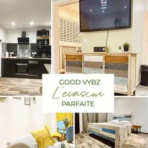 Good Vybz - 萨莱比梅