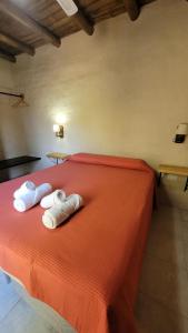La huella Jáchal - Casas de Campo