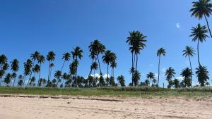 Charmoso Flat Cupe Beach Living - Beira Mar
