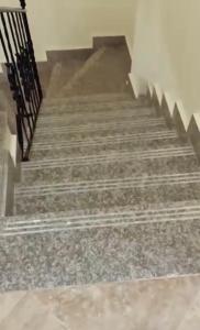 مارينا فالى