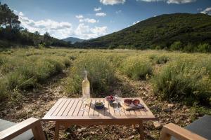 Maisons de vacances Gite isole au coeur du vignoble : photos des chambres