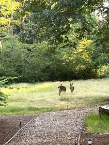 Whispering Pines Farmhouse