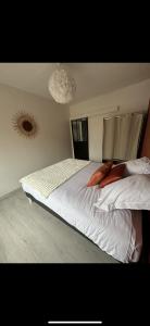 Appartements Grand appartement Roanne centre : photos des chambres