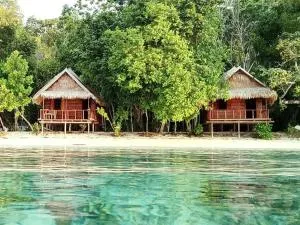 Risen Raja Ampat - Sageurin