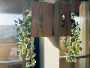 Green Holiday Penthouse