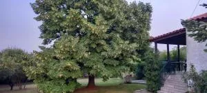 Lidden tree cottage - Plagiárion