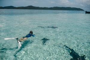 Tranquilseas Eco Lodge & Dive Center