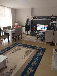 Ferah konforlu manzaralı - 希莱