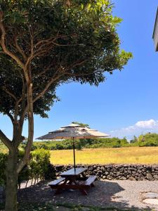 Outdoor Jacuzzi Detached House jejumodo1