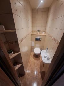 Apartament Ponitce do Węża - Świeradów Zdrój
