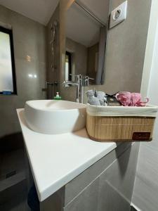 Aqua Studio Central Free Parking