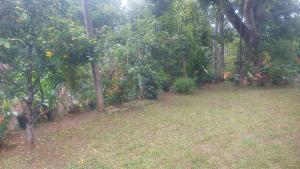 Entire house in kandy