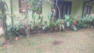 Entire house in kandy