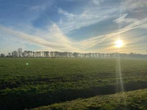 De Pastorij, heerlijke rustgevende plek tussen de koeien!