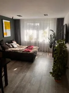 Mieszkanie Warmia I Mazury - 帕瑟姆