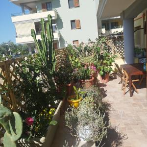 Alghero Lovely Flat