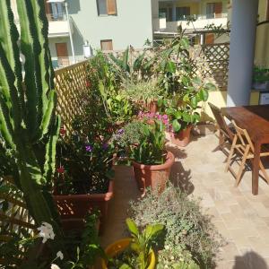 Alghero Lovely Flat img26