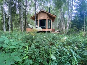 Paunküla Nature Resort (forest villa)