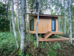 Paunküla Nature Resort (forest villa)