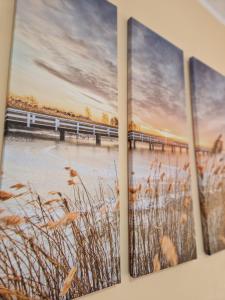 Modern comfort free parking