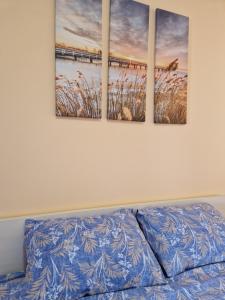 Modern comfort free parking