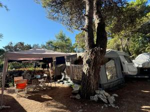 Caravan near the sea 4