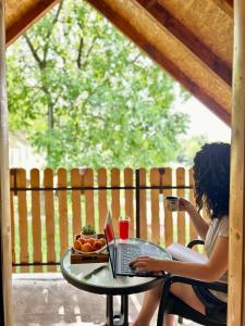 Vikend kuca pod lipom